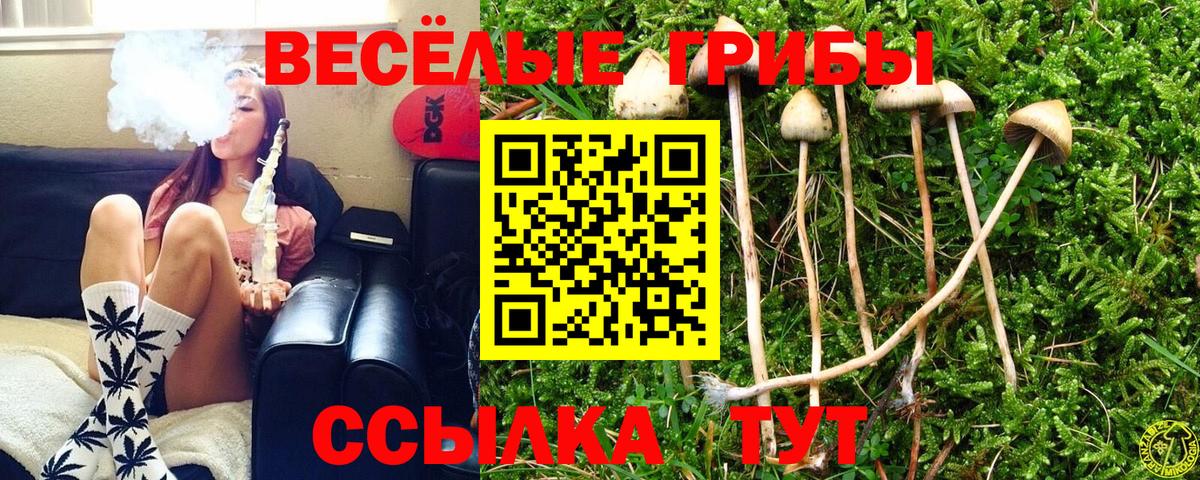 Галлюциногенные грибы Cubensis  Вход с VPN  Боровичи 
